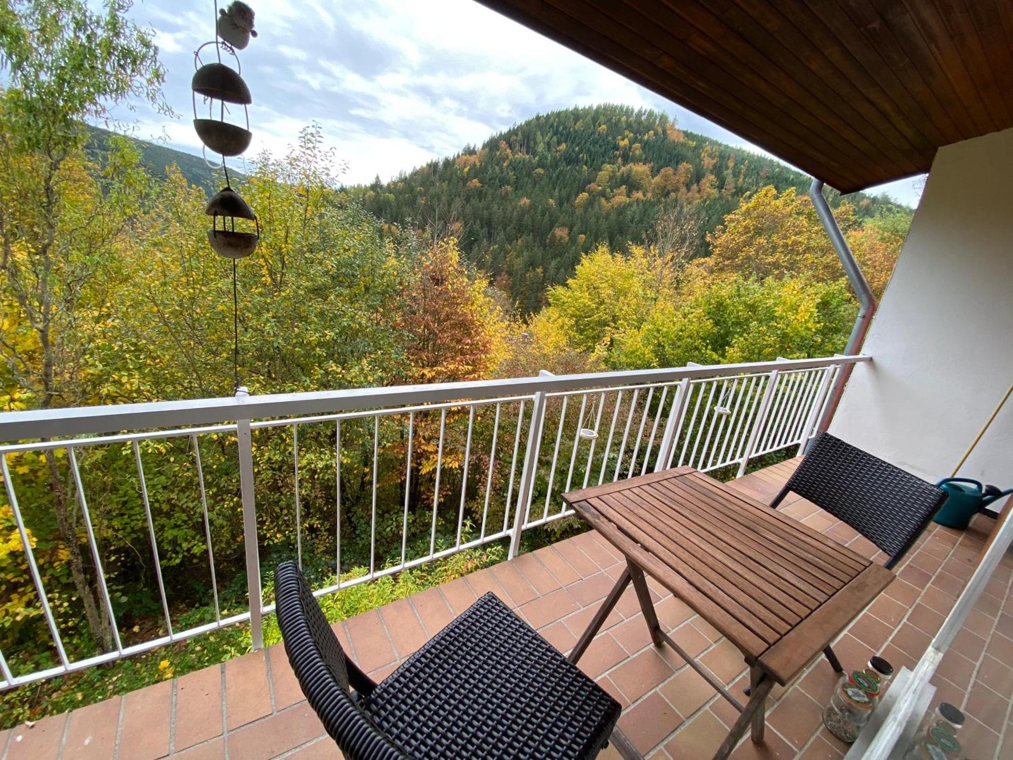 Waldhaus Max Apartment Bad Wildbad Exterior photo